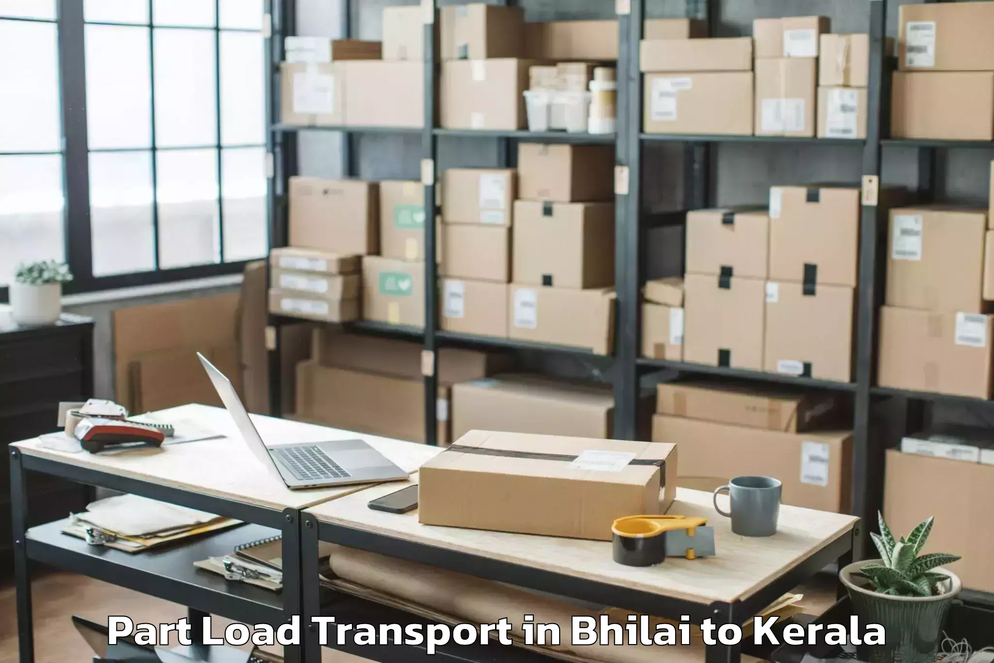 Hassle-Free Bhilai to Kumily Part Load Transport